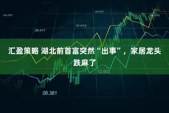 汇盈策略 湖北前首富突然“出事”，家居龙头跌麻了