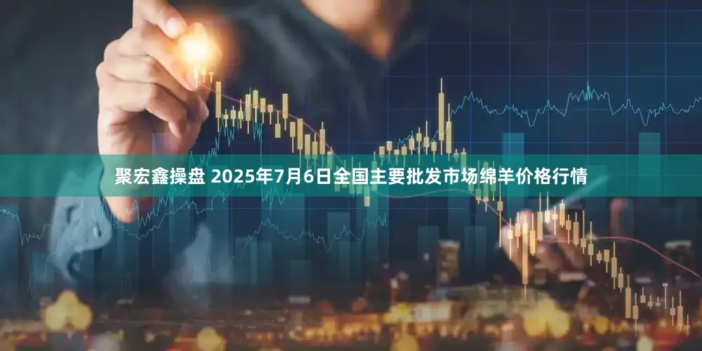 聚宏鑫操盘 2025年7月6日全国主要批发市场绵羊价格行情