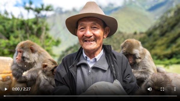 利创智投 全球连线｜西藏老人和他的“猴孩儿们”_大皖新闻 | 安徽网