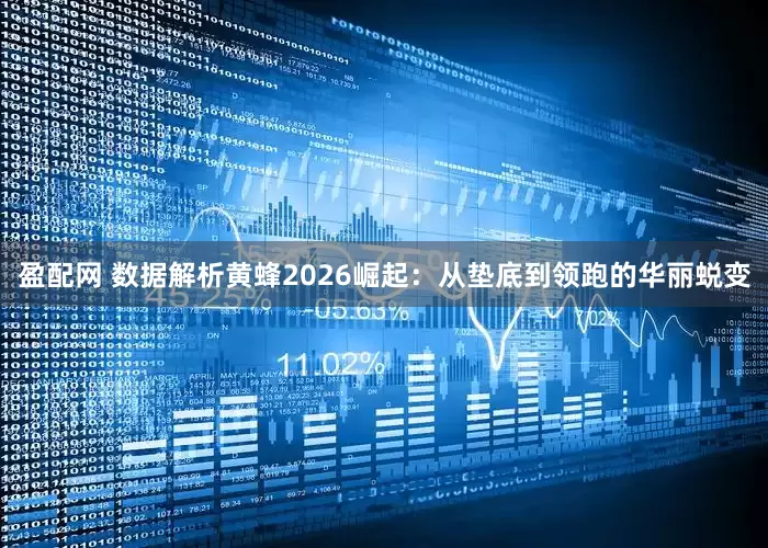 盈配网 数据解析黄蜂2026崛起：从垫底到领跑的华丽蜕变